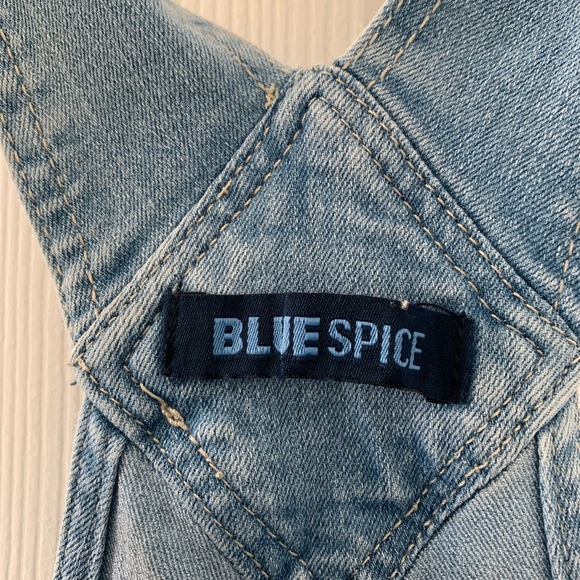 Blue Spice Overall Shorts - Picture 3 of 4